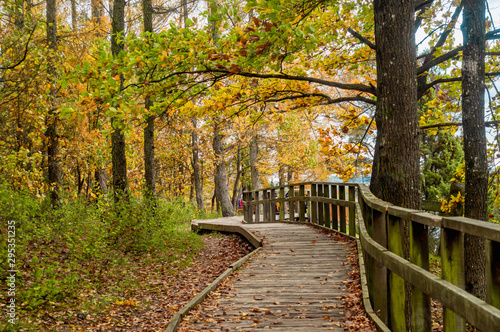 Wooden walkway in Juniper Valley in autumn