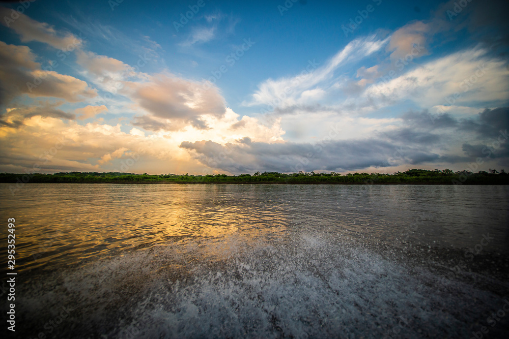 Fototapeta premium Rio negro - Amazon