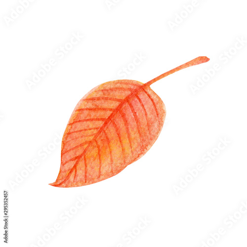 Hand drawn autumn watercolor leaf. Fall orange drop shape leaf with red veins isolated on white background
