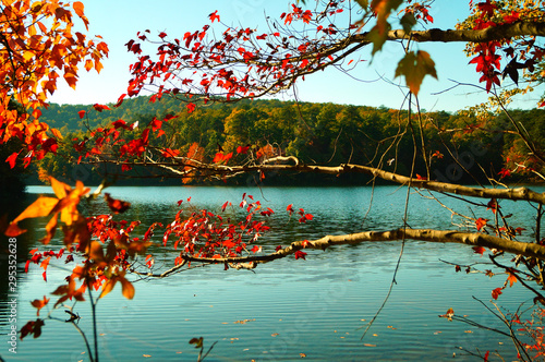 lake in autumn forest