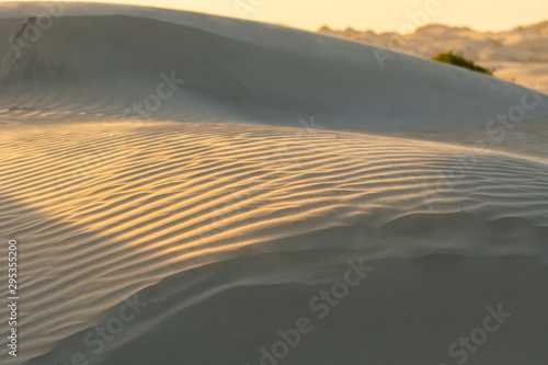 Sand ripples in the dunes of Magdalena Island  Baja California Sur  Mexico at sunset.
