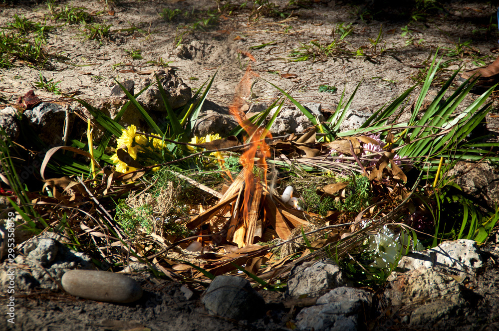 View of freshly prepared and lit mayan indian ceremonial fire with flowers and herbs. View of freshly prepared and lit mayan indian ceremonial fire with flowers and herbs.