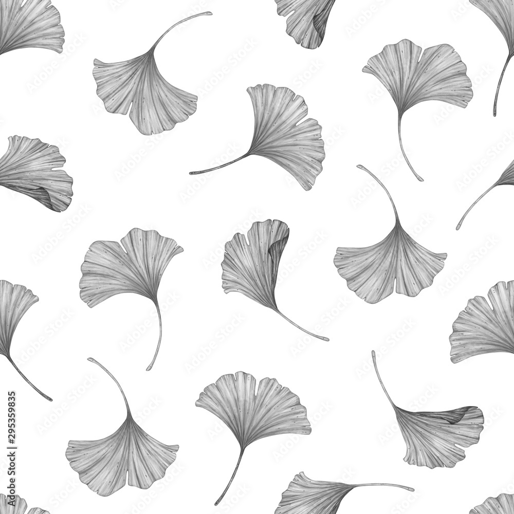 Leaves of Ginkgo Biloba on a white background. Seamless pattern Leaves of Ginkgo Biloba on a white background. Seamless pattern