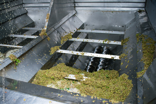 Φωτογραφία Wine production, grapes squeezing factory, pressing grapes, grape juice machine,