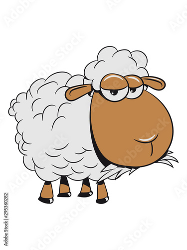 Schaf Weide fressen doof gras Herde süß lieb Wolle Nutztier grasen witzig 3c