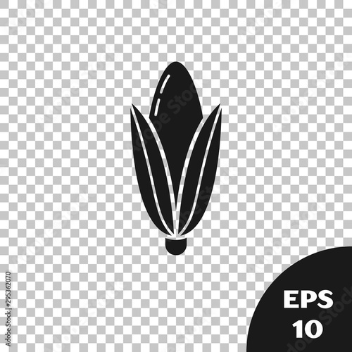 Black Corn icon isolated on transparent background. Vector Illustration