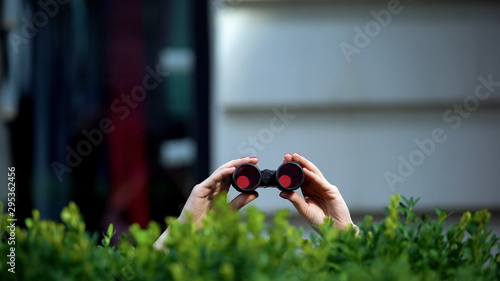 Foto Female hands holding binoculars behind park bush, private detective, spying
