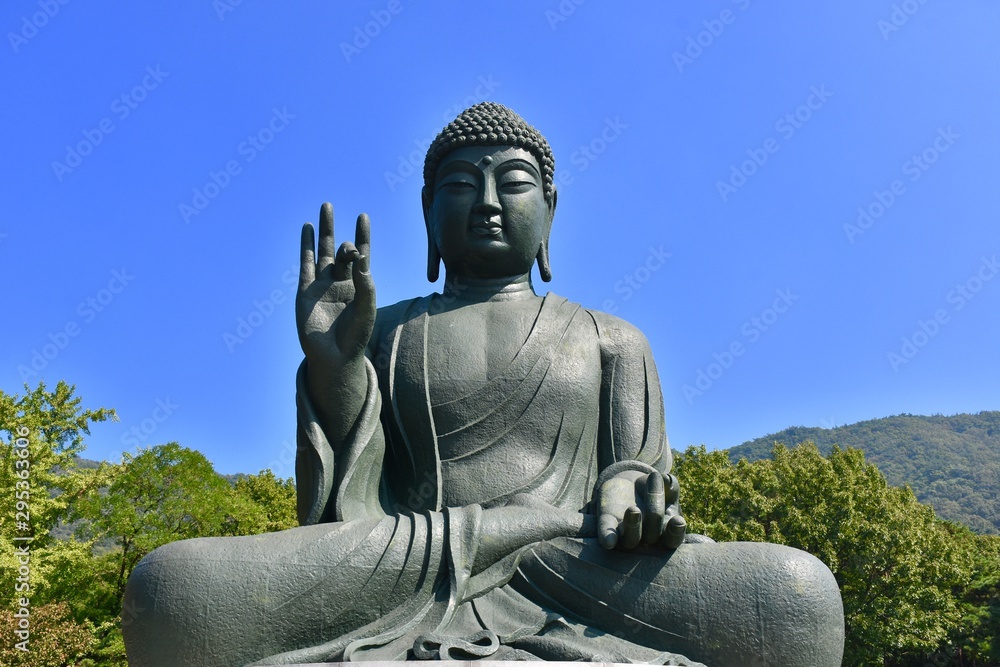 Fototapeta premium Buddha