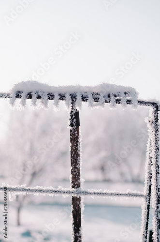 garden rake covered with snow and frost photo