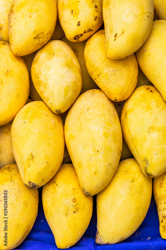Krabi, Thailand: Yellow mango displayed on a market table Krabi, Thailand: Yellow mango displayed on a market table