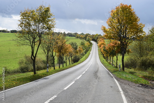 herbstliche Eifel bei Daun photo