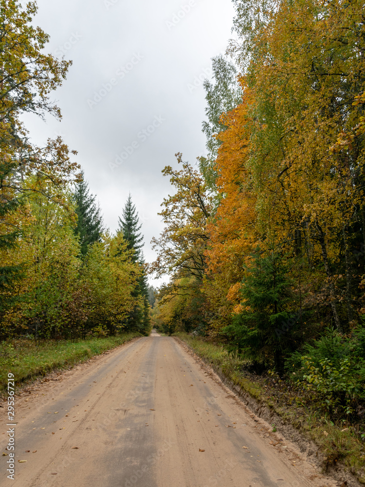 autumn landscape with beautiful and colorful trees, road, cloudy autumn day
