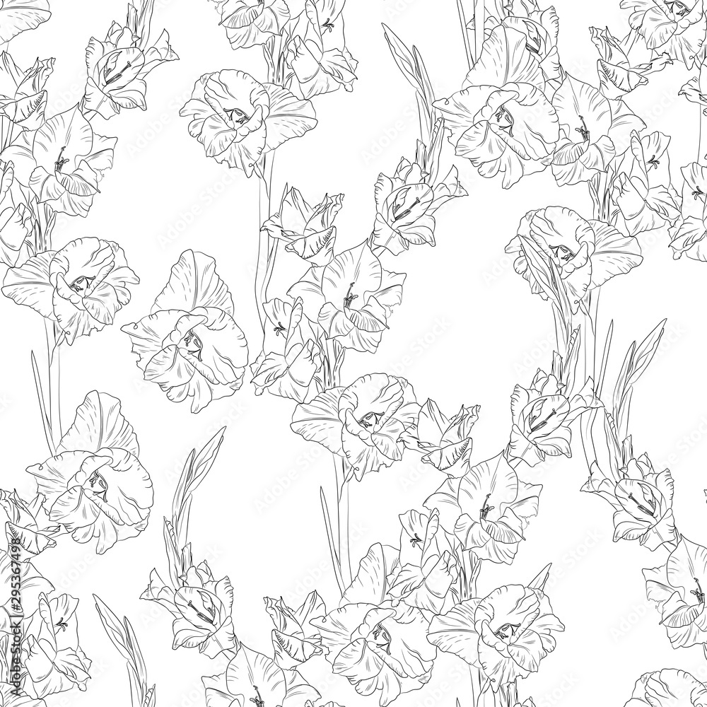 Fototapeta premium Floral seamless pattern with line gladiolus on white background. Flower print.
