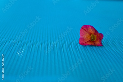 Flower on a textured material. Powerful colors and details