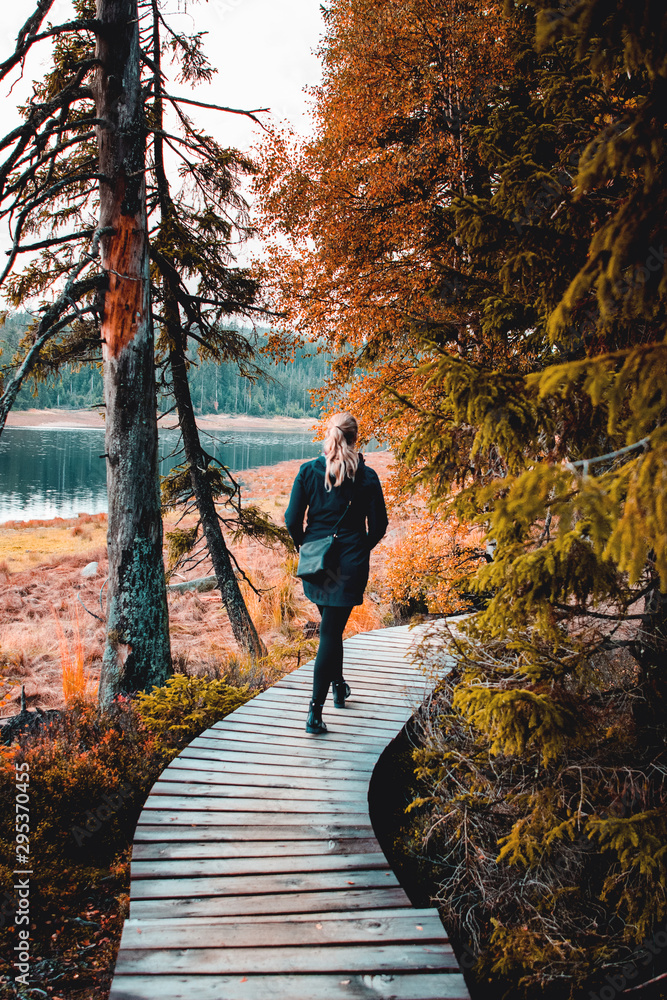 Obraz premium Backview of a adventure blonde active girl walking on a wooden nature path in a beautiful healthy autumn landscape. Oderteich, Harz National Park in the Mountains, Germany
