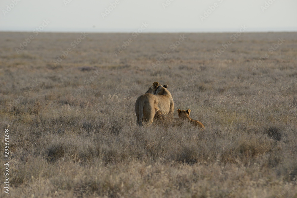 Kenya & Tanzania Kenya & Tanzania