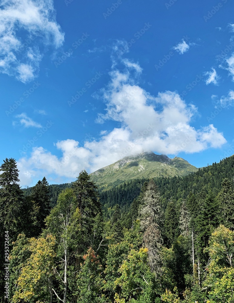 Obraz premium Nature