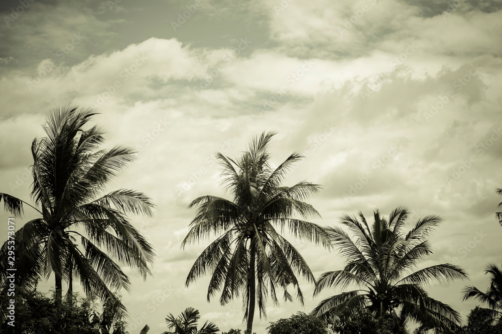 Retro coconut tree on sky background