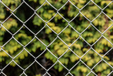 Rhombic cells of a white metal lattice we see against a green plants background in the sunny day