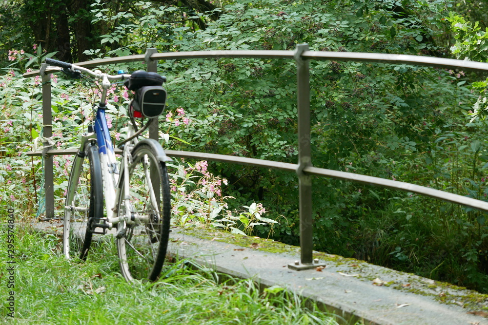 Bycicle Fahrrad am Fluss Sachsen 2019 Bycicle Fahrrad am Fluss Sachsen 2019
