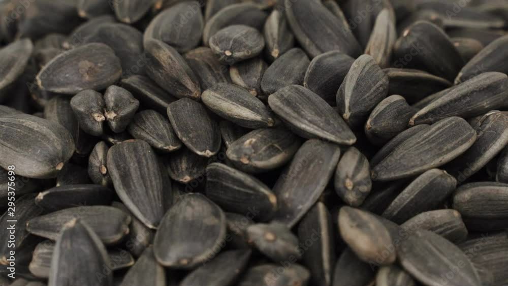 Sunflower seeds. Close-up fried seeds rotate 360 degrees. 4k Sunflower seeds. Close-up fried seeds rotate 360 degrees. 4k