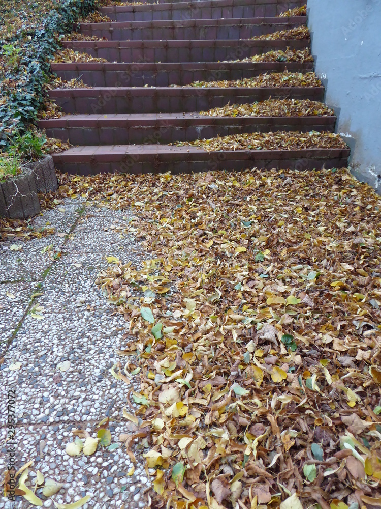 Obraz premium herbstlaub auf der treppe