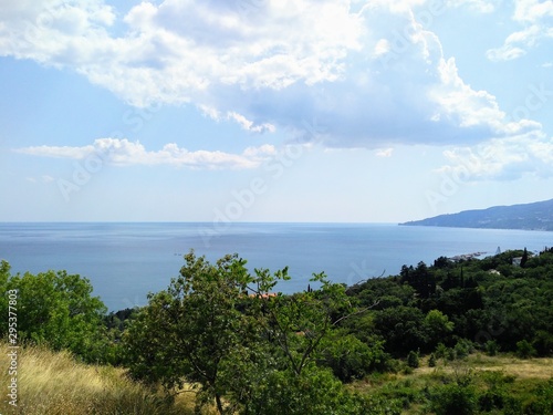 landscape with trees and blue sky