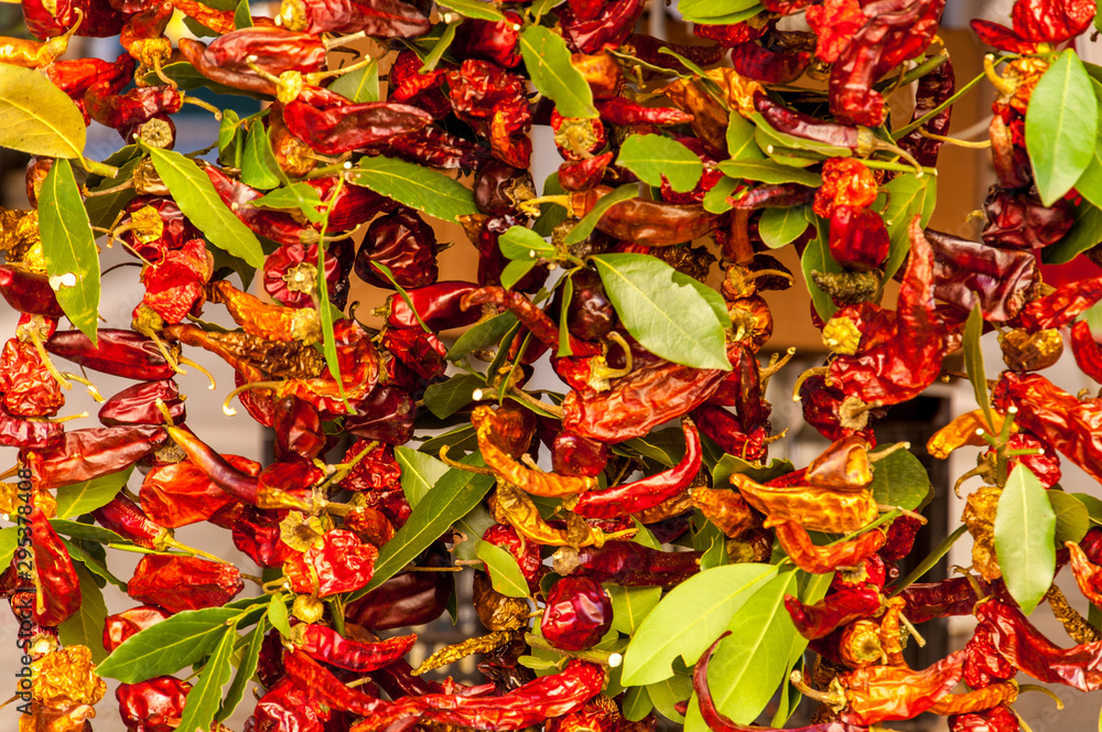 Dry chilli pepper bundle closeup.