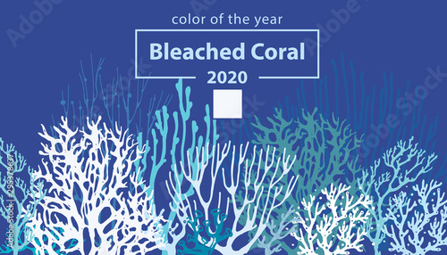 Bleached Coral. Trendy color of 2020