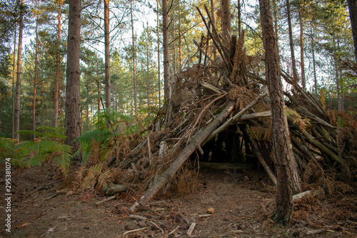 Forest Fort