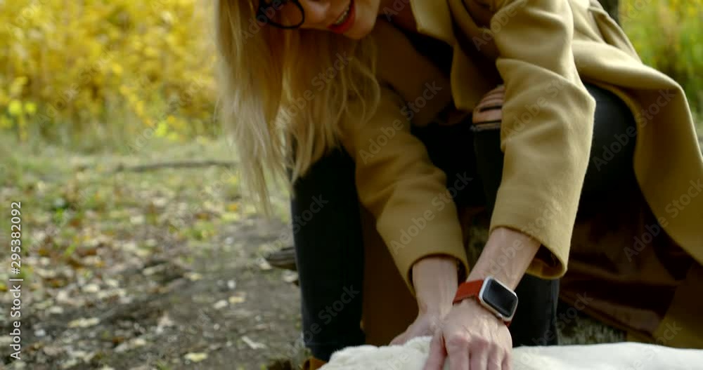 white bulldog is lying on ground in forest and his owner woman is caressing his head white bulldog is lying on ground in forest and his owner woman is caressing his head