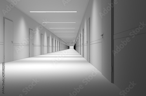 Long corridor with doors  interior visualization