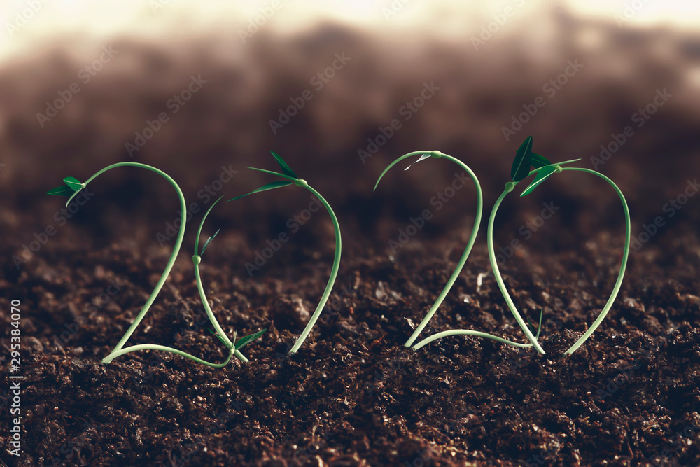 2020 new year and farm growth concept - obrazy, fototapety, plakaty 