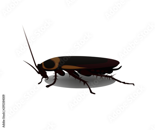 cockroach realistic vector illustration isolated