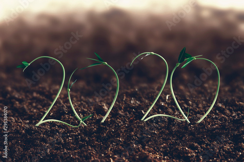 2020 new year and farm growth concept