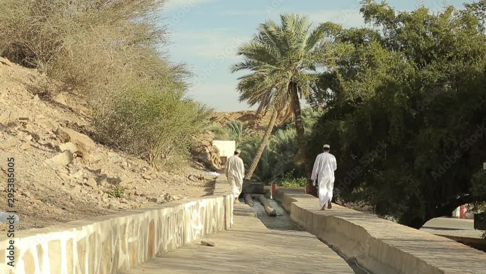 Nizwa, Oman. Aflaj Irrigation System in an old omani village, water
