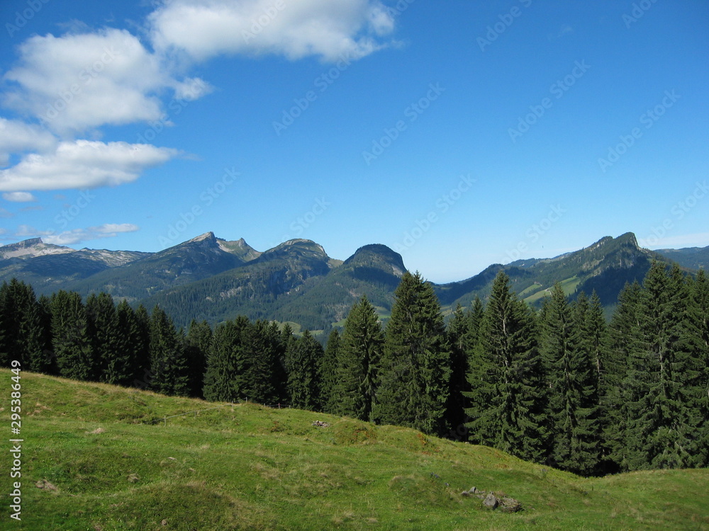 Blick in die Landschaft/Natur bei Oberstdorf - Wald - Wiese - Berge - Deutschland - Landschaftspanorama