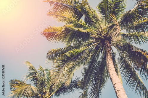 Fototapeta Naklejka Na Ścianę i Meble -  Coconut tree on blue sky. vintage filter