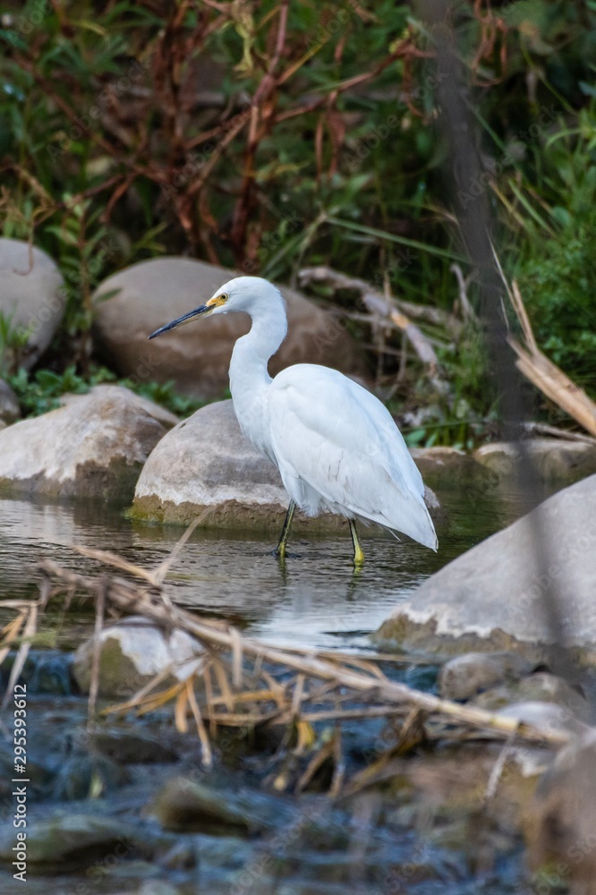 Survival habits never quit with the wildlife. Survival habits never quit with the wildlife.