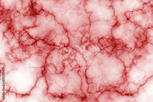 фотографія human veins, red blood vessels design.