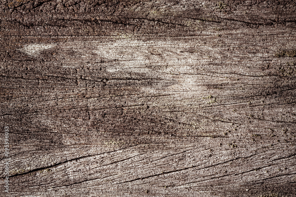 Fototapeta premium Grunge wooden background