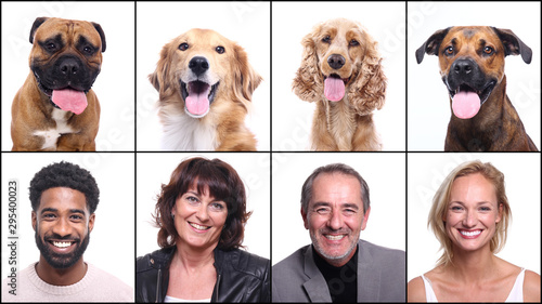 Fototapeta Naklejka Na Ścianę i Meble -  Group of people and dogs in front of a white background