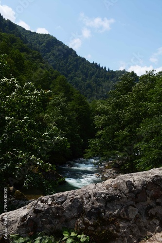 river in mountains © YAHOES