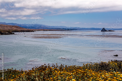 Wallpaper Mural Flowers, Piedras Blancas Bay Torontodigital.ca