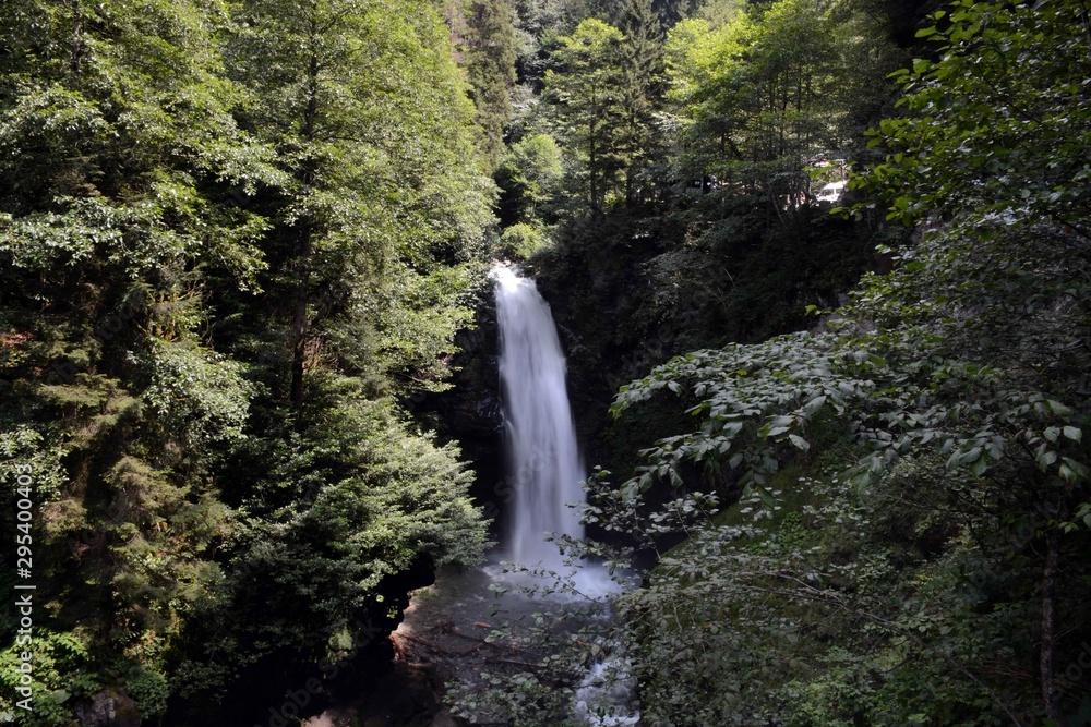 Obraz premium waterfall in forest