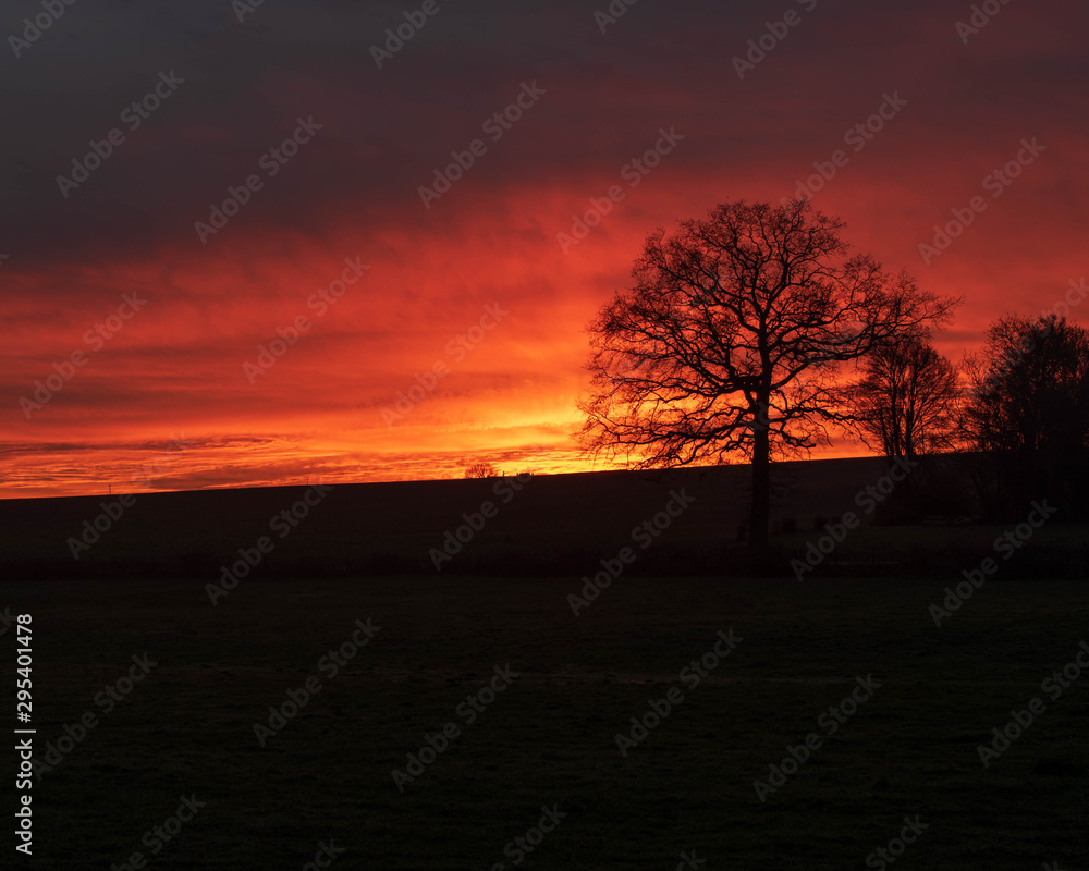 Coucher de soleil avec un arbre en silhouette. Fond orange et rouge. Premier plan noir. France en hiver Coucher de soleil avec un arbre en silhouette. Fond orange et rouge. Premier plan noir. France en hiver