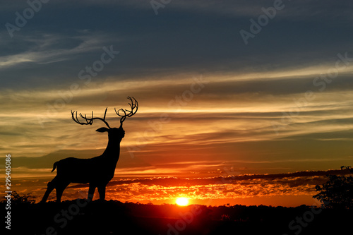 Silhouette of deer on top of a mountain with sunset in the background.