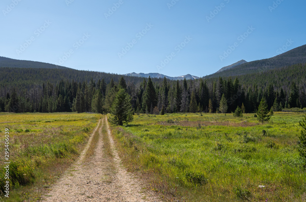 Rocky Mountain National Park landscape of dirt road, meadow, forest and mountains