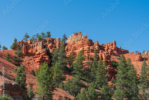 Landscape of red hoodoos and formations at Red Canyon in Utah