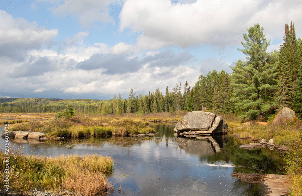 lake in forest